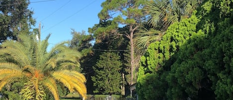 Terrenos do alojamento