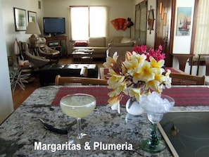 View of Livingroom from Kitchen island