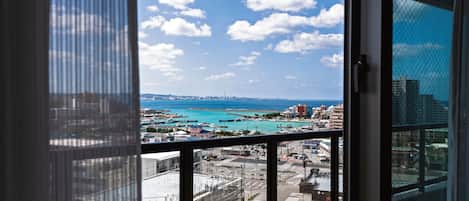 Vue depuis le balcon