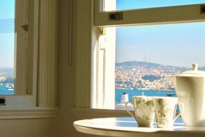 Views in another direction extend across the Bosphorus to the Asian shore, with ferries and shipping busy below.