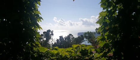 Vista dalla terrazza