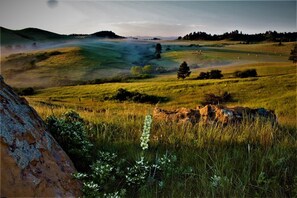 Ranch view