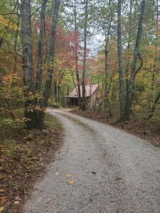 Rustic Cabin Experience on 16 Acres