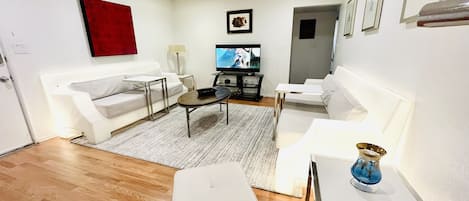 Stylish Living Area 