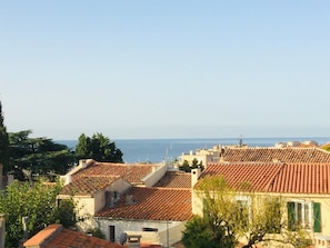 Beach/ocean view