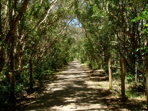 Terrenos do alojamento