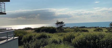 Vista da propriedade