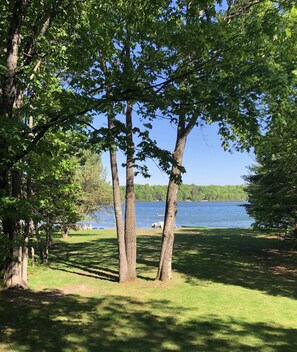 A view from the deck