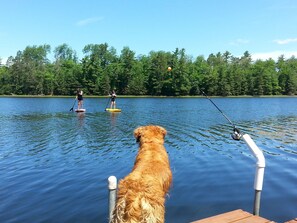 2 stand up paddleboards