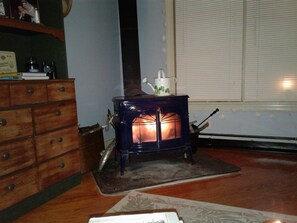 The wood/pellet stove ablaze on a cold evening.