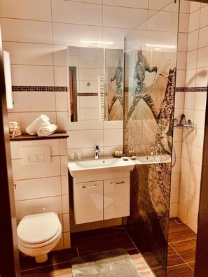 Salle de bains / douche