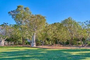 This is our beautiful park, right outside our front door.  