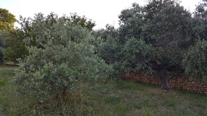 Terrain de l’hébergement 