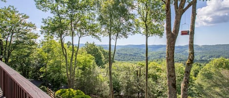 Amazing Long Range Layered Mountain Views from Mountain Remedy!