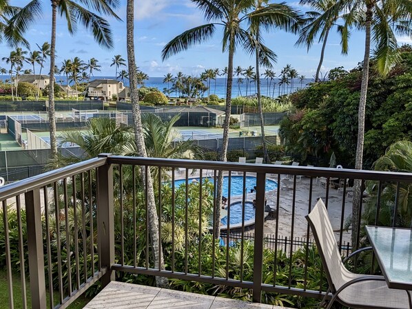 This is the view from the lanai--and the living space.  