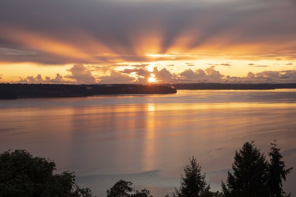 180º Puget Sound View