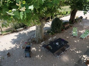 Baum, Blatt, Pflanze, Botanik, Garten, Gras, Garten, Anpassung, Landschaft, Strauch