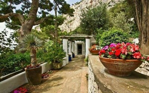 Balcony / Terrace / Patio, Garden