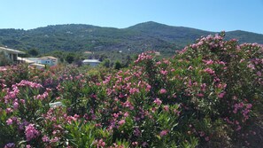 Εξωτερικός χώρος καταλύματος