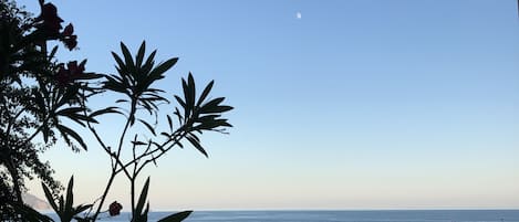 Vue sur la plage ou l’océan