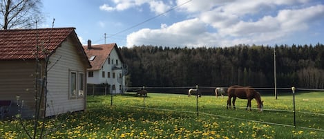 Overnatningsstedets område