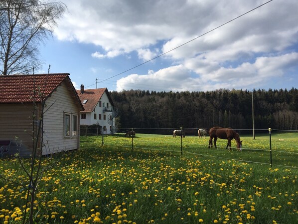 Nikolinenhof mit einem Teil seiner Bewohner 