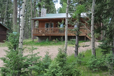 Gorgeous cabin, no steps, WiFi, minutes to Resort (W1)