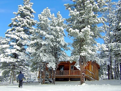 Gorgeous cabin, no steps, WiFi, minutes to Resort (W1)