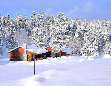 Quaint cabin in the woods  (D1)