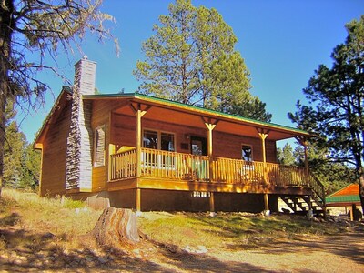 Quaint cabin in the woods  (D1)