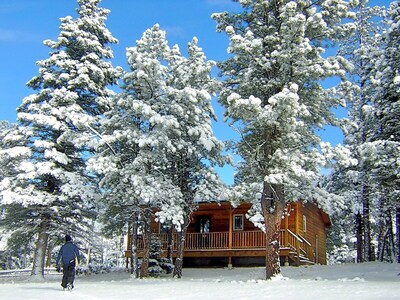 Cozy cabin in the woods (E1)