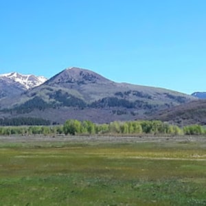 Rustic log Cabins in the foothills of the San Juan Mountains 