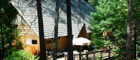 View of cabin from National Forest