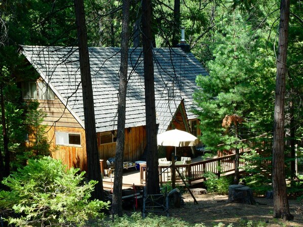 View of cabin from National Forest