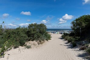 A view of a sandy beach with greenery and dunes leading toward the sea.