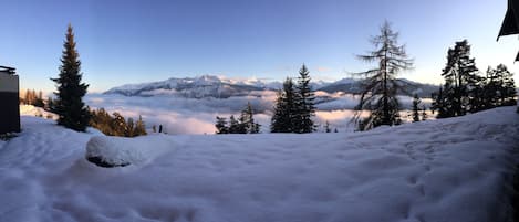 Sneeuw- en skisporten