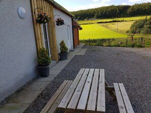 Esterni