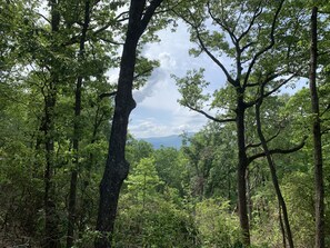 View from private balcony of the mountains