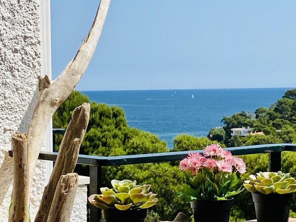 View from property
