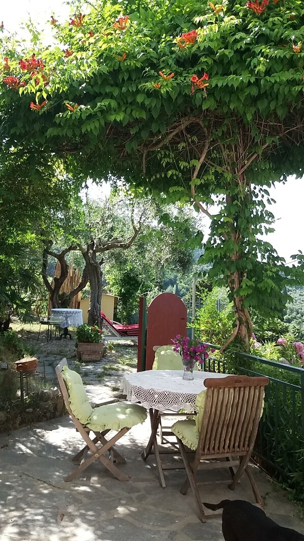 terrace - garden