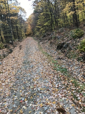 Hiking, ATVs, snowmobiling and hunting on the popular Bear Mountain Trail.