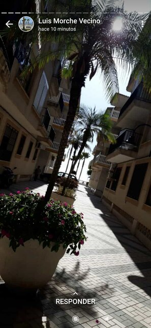 Property grounds