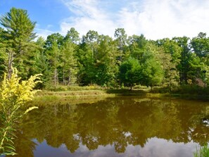 Private pond for fishing and swimming.