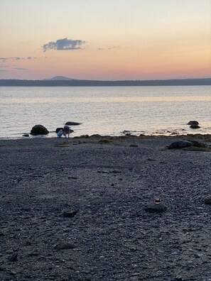 Beach at sunset and low tide