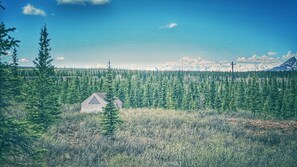 views of the tent and Denali on a clear day.