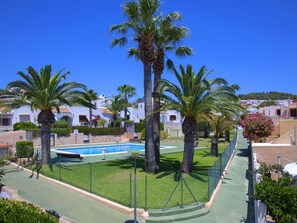 Palmier, Arbre, Propriété, Recours, Arecales, Immobilier, Piscine, Suppression Des Plantes Ligneuses, Ville Resort, Vacances