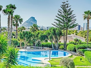 Plante, Ciel, L'Eau, Propriété, Bleu Azur, Paysage Naturel, Arbre, Végétation, Arecales, Plan D'Eau