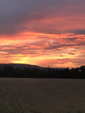 Oklassificerad bild, 3 av 15, knapp