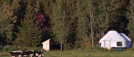 Overnatningsstedets område