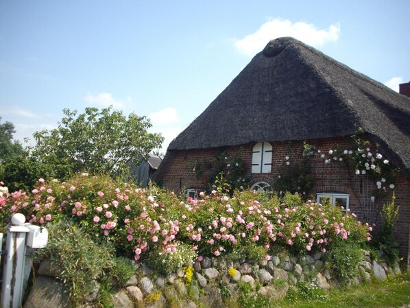 Friesenhaus Dikhüs